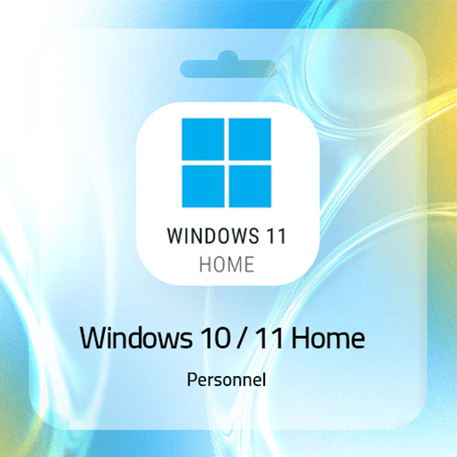 Windows 10/11 Home